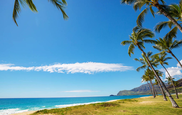 Дивовижний гавайський пляж природний пейзаж
  - Фото, зображення