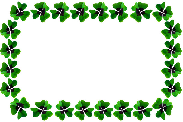 Día de San Patricio trébol marco irlandés suerte fondo blanco
 - Foto, imagen
