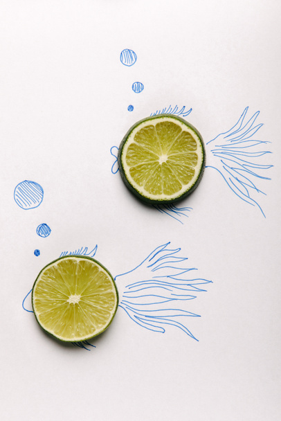 top view of lime slices on fishes drawing on white - Photo, Image