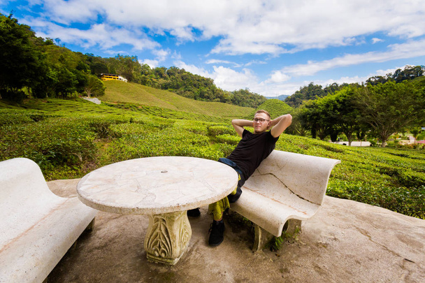マレーシアの国立公園の山をキャメロン ハイランドで Bharat 紅茶プランテーションの若い観光客の風景します。東南アジアの農業. - 写真・画像