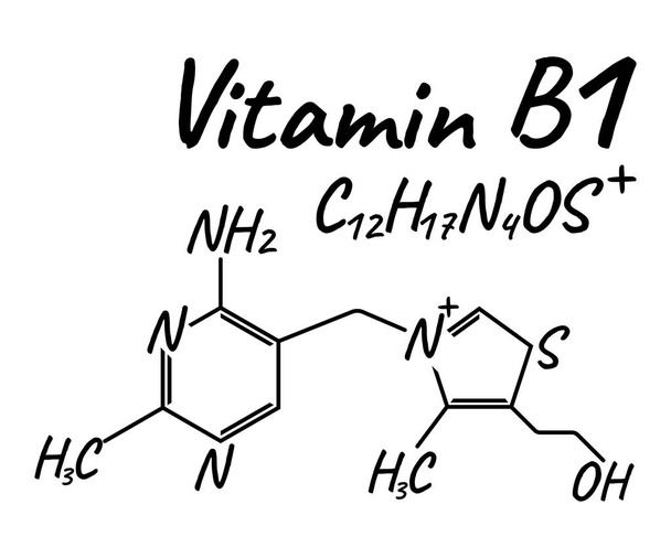 B1-vitamin címke és ikon. A kémiai képlet és szerkezet logó. Vektoros illusztráció. - Vektor, kép