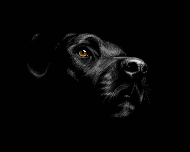 black labrador Retriever - Vector, afbeelding