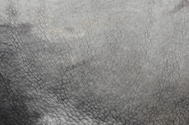 Surface de l'éléphant fond de peau en cuir pour le design dans votre travail Concept de texture
. - Photo, image