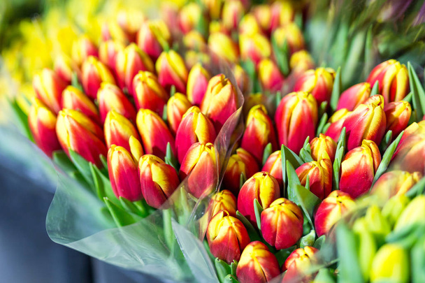 Wiele wielobarwny tulipany bukiety. Targ kwiatowy lub sklepie. Sprzedaż hurtowa i detaliczna kwiaciarnię. Kwiaciarnia usługi. Dzień Kobieta.  - Zdjęcie, obraz