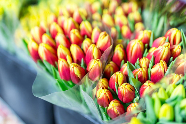 Lot of multicolored tulips bouquets. Flower market or store. Wholesale and retail flower shop.  Florist service. Woman day.  - Фото, изображение