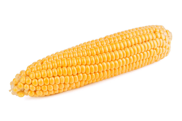 érett sárga kukorica cob elszigetelt fehér - Fotó, kép