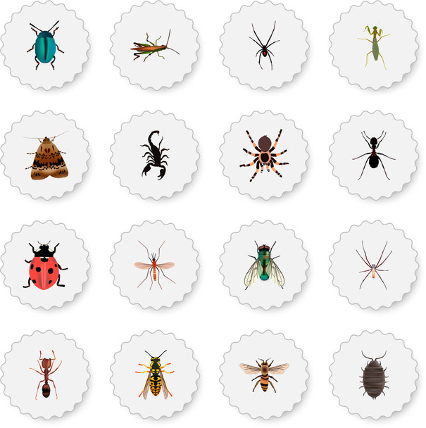 Set von bug realistischen Symbolen mit schwarzer Witwe, Insekt, Pissoir und anderen Symbolen für Ihr Web-App-Logo-Design. - Vektor, Bild