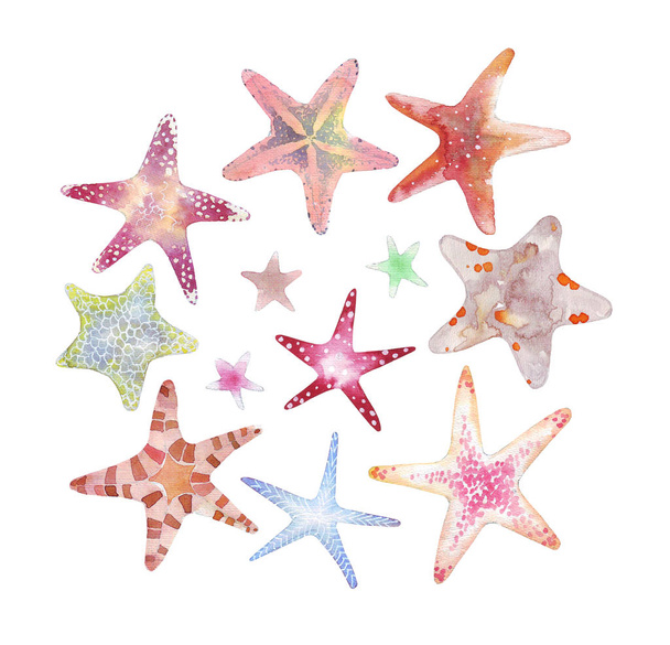 Set of colorful starfishes isolated on white - Photo, Image