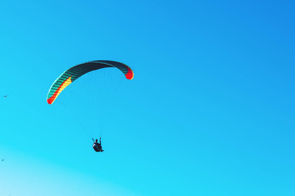 Paraglider flying on colorful parachute in blue clear sky at a bright sunny summer day. Active lifestyle, extreme sport. Adrenaline concept. - Photo, Image