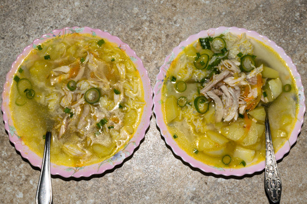 soupe de poulet avec nouilles et légumes dans deux assiettes avec cuillère. Menu soupe pour enfants
 - Photo, image