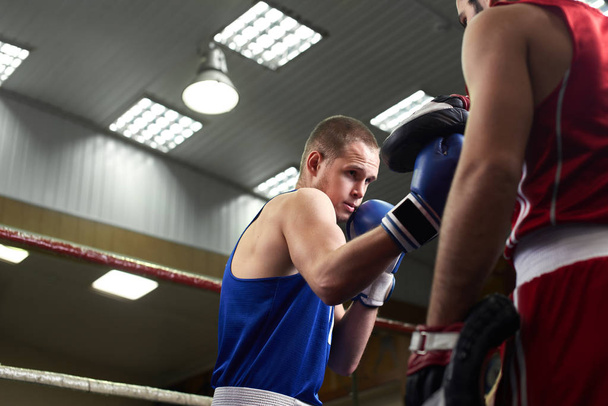trainer training muscular boxer in ring  - Foto, Imagem