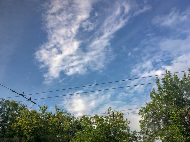 Zachmurzone niebo nad trakcji tramwajowej i drzew - Zdjęcie, obraz