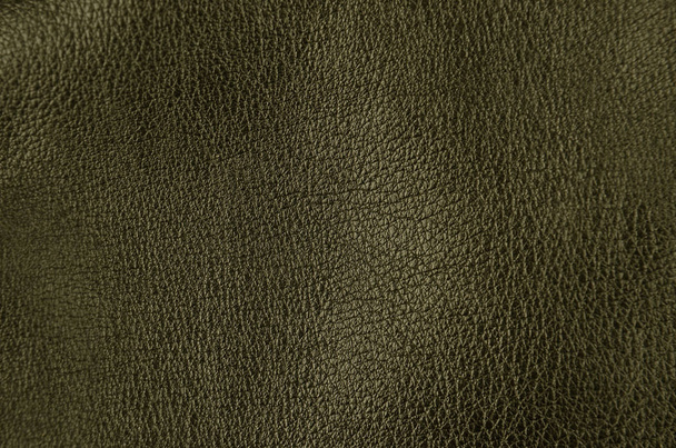 Крупним планом натуральний зелений шкіряний фон
 - Фото, зображення