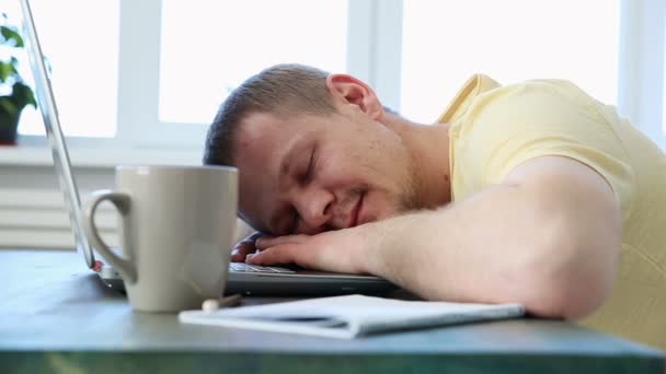 programmatore freelance si addormenta dalla fatica alla sua scrivania con un computer portatile
 - Filmati, video