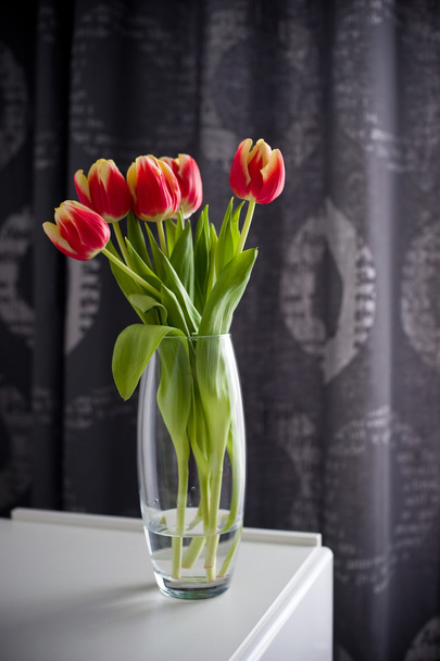 Bouquet of tulips - Photo, image