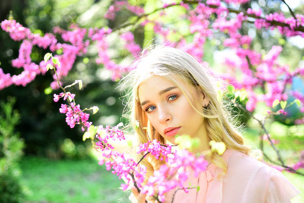 Womens day with girl in pink cherry blossom. Sakura flower beauty in nature. Sensual woman at blossoming sakura flower in spring. Skincare and summer concept. Spring woman in cherry flower bloom - Fotografie, Obrázek
