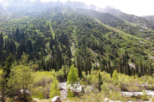 Park Narodowy Ala Archa w górach Tian Shan Bishkek Kirgistan - Zdjęcie, obraz