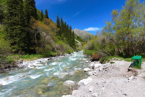 ビシュケク・キルギスタンの天山国立公園 - 写真・画像