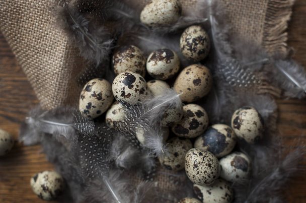 many identical quail eggs. chicken feathers. Photo in a rustic style. Eggs for Easter. Free space for text. - Φωτογραφία, εικόνα