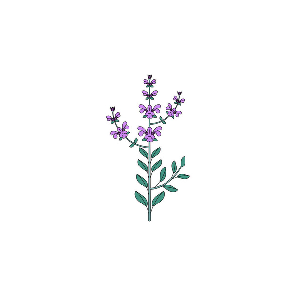 medicinal herb icon - Вектор,изображение