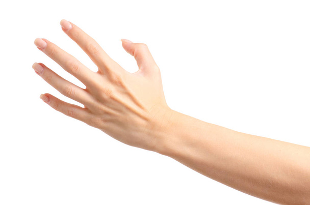 Female hands empty holding take - Zdjęcie, obraz
