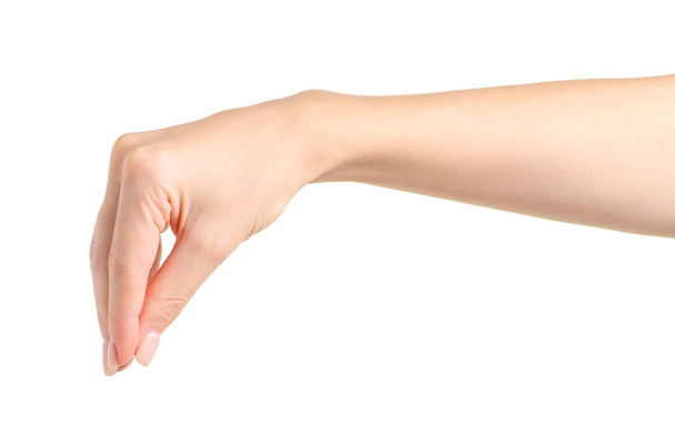Female hands empty holding take - Photo, Image