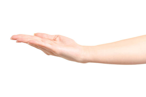 Female hand empty showing - Фото, зображення