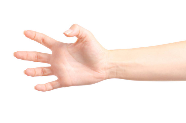 Female hands empty holding - Foto, Imagem