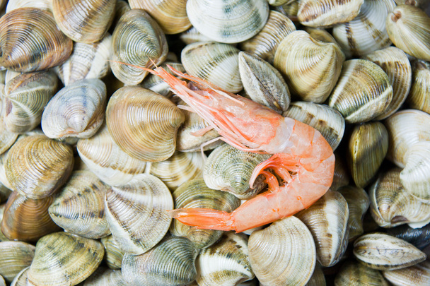shellfish in a market - Photo, Image