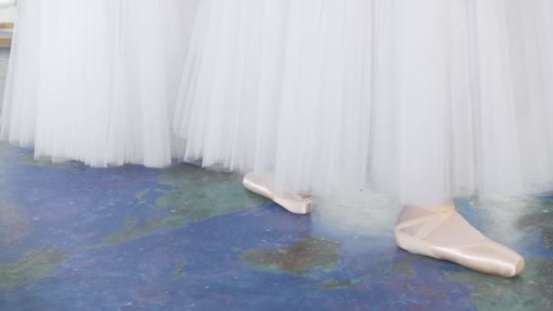 Piedi femminili che ballano in scarpe da punta davanti alle ballerine eseguono una danza in uno studio
 - Filmati, video