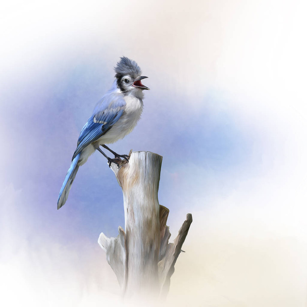 Blue Jay pájaro encaramado, acuarela pintura
 - Foto, imagen