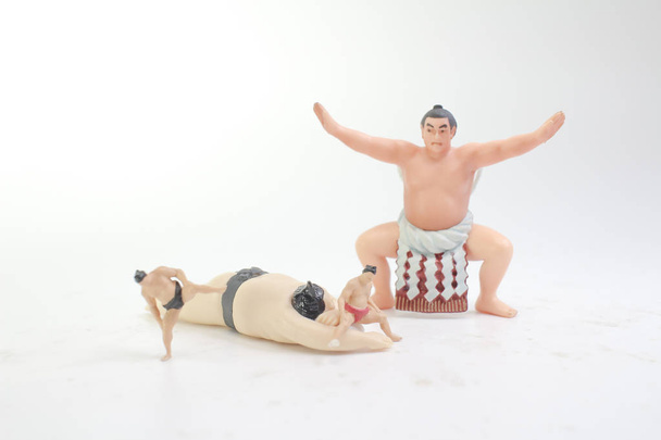 a figure of Sumo wrestler in traditional rack - Photo, Image