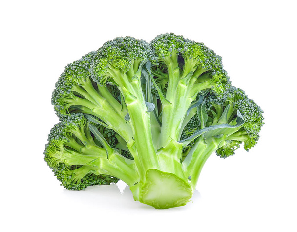 Broccoli on white background - 写真・画像