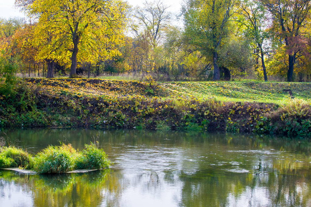 Sonbahar manzara. Nehir, farklı renkteki sonbahar ağaçlar. Eski Kuru ot. Şaşırtıcı derecede güzel manzara. Kış soğuk arifesinde üzgün zaman - Fotoğraf, Görsel