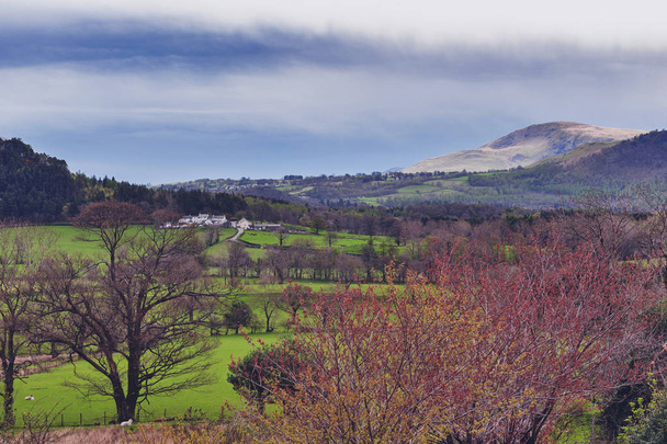 Scenic countryside landscape at a sheep farm in Lake District of England, United Kingdom - Фото, зображення