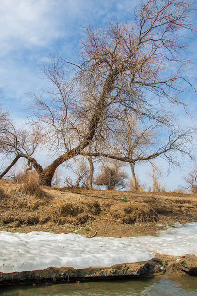 rivière dernière glace. Dernière banquise. dernière aiguille de glace sur la rivière Ili. Asie centrale, les steppes du Kazakhstan
 - Photo, image