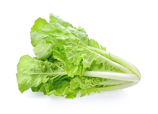 Lettuce on white background - Фото, изображение