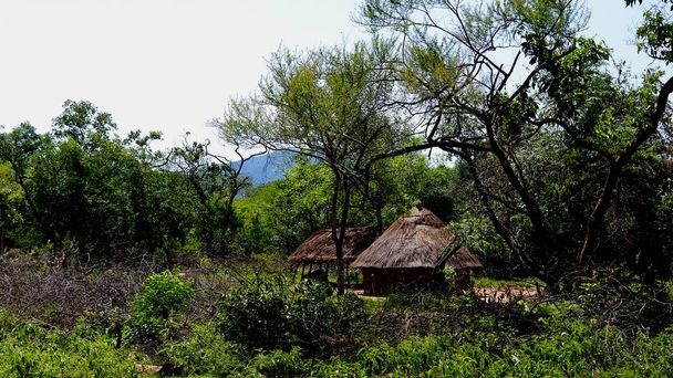 Krajobraz z plemienia miejscowości Hamar w pobliżu Turmi, Etiopia - Zdjęcie, obraz