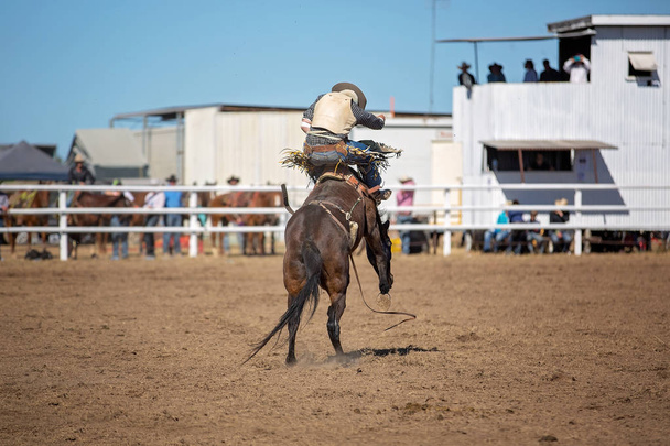 Cowboy monta um cavalo bucking em evento de bronco bareback em um rodeio país - Foto, Imagem
