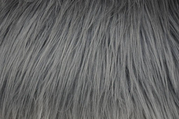 γκρι υφή του μακρύ μαλλί και γούνα για ρούχα - Φωτογραφία, εικόνα