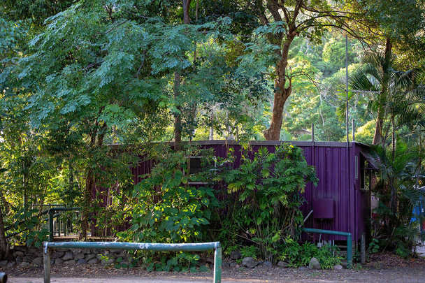 Un viejo contenedor pintado de púrpura y convertido en una cabaña de vacaciones en el arbusto en Cape Hillsborough en Australia
 - Foto, imagen