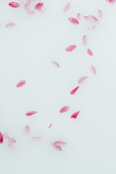 felülnézet rendezett rózsaszín és lila virág szirmai tej - Fotó, kép