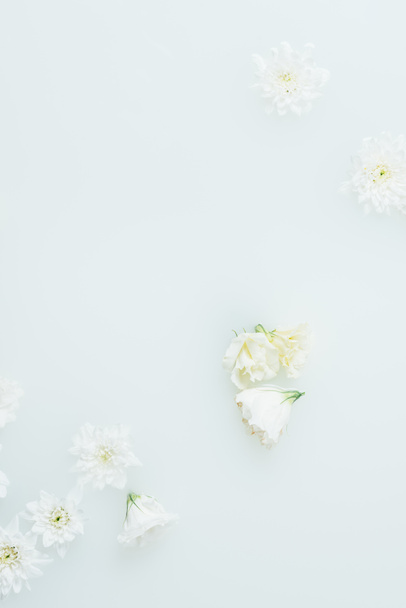 top view of arranged beautiful white flowers in milk - Foto, afbeelding