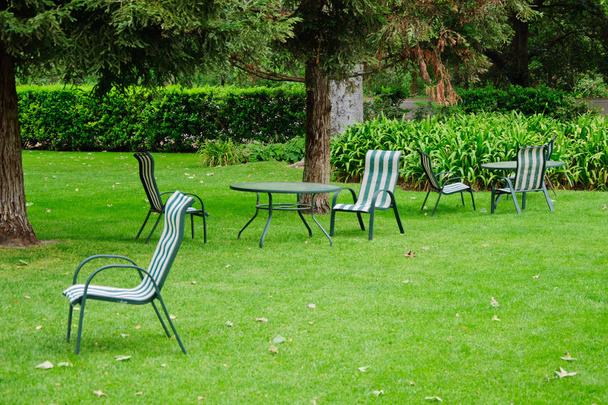 Green summer backyard garden with grass, table and chairs - Фото, изображение