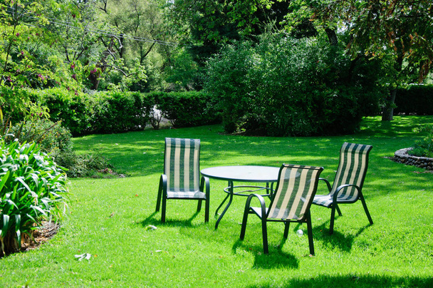 Green summer backyard garden with grass, table and chairs - Фото, изображение