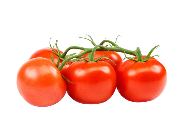 Гілка свіжого червоного помідора, ізольована на білому тлі
. - Фото, зображення