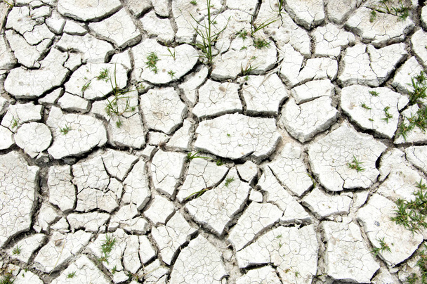 Repedések a föld. szárazság. talajerózió, repedt textúra. Száraz repedezett talajon.  - Fotó, kép