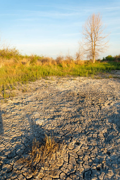 Στέπα αλατούχα εδάφη. αλατούχα αλάτι σε αλάτι. στέπα prairie veldt veld. Αλατούχα εδάφη των λιμνών έρημο, αλάτι. άψυχο καμένης γης. Γυμνά στέπα του Καζακστάν - Φωτογραφία, εικόνα