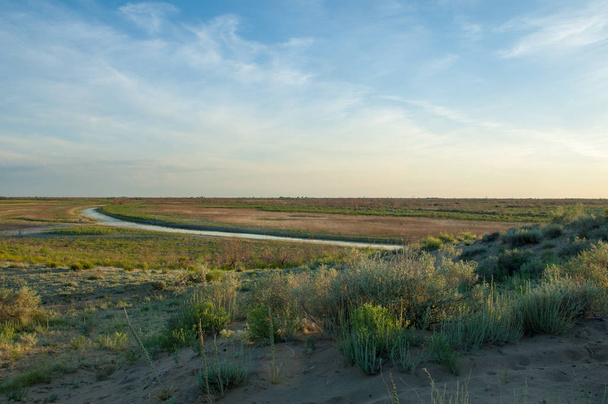 Petit lac sous un beau ciel. scène du soir sur le lac dans la steppe, Paysage avec tourbière dans la steppe dans une belle journée d'été. scène d'été sur le lac
 - Photo, image