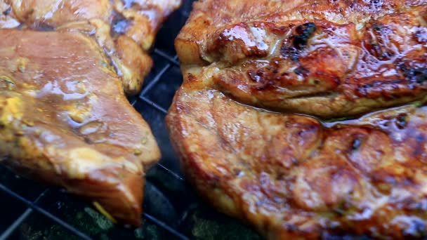 Čerstvé maso na grilování closeup na pečení - Záběry, video